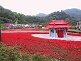 IMG_7395.JPG