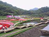 IMG_7397.JPG