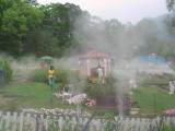 IMG_7407.JPG