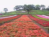 IMG_7414.JPG