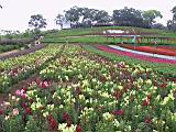 IMG_7416.JPG