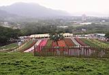 IMG_7425.JPG