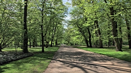 2017-05-05--17669.JPG