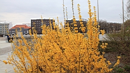 2017-05-15--18267.JPG