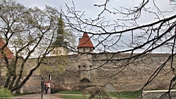 2017-05-15--18270.JPG