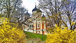 20170515_100602.jpg