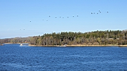17_02175.JPG