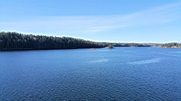 20170516_072227.jpg
