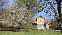 2017-05-19--18645.JPG