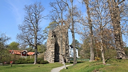 2017-05-19--18647.JPG
