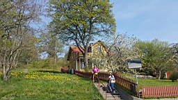 20170519_095621.jpg
