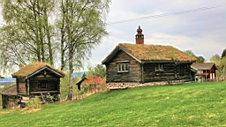 2017-05-20--18702.JPG