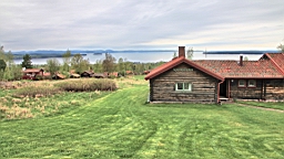 2017-05-20--18704.JPG