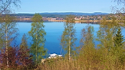 20170524_082613.jpg