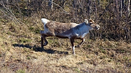 DSC04779.JPG
