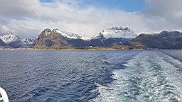2017-06-01- (10).jpg