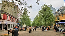2017-06-03- (12).JPG
