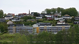 2017-06-03- (5).JPG