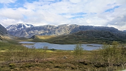 2017-06-13- (2).JPG