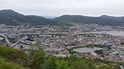2017-06-15_ (8).JPG