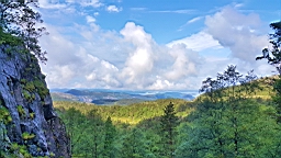 2017-06-19- (05).jpg