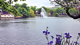 2017-06-20- (006).JPG
