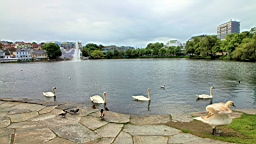 2017-06-20- (013).JPG