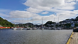 2017-06-21- (4).JPG