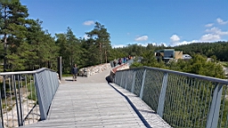 2017-06-24- (1).JPG