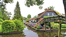 2017-07-01- (10).JPG