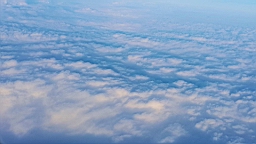 2019-02-23_0004.jpg