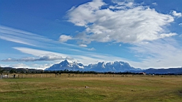 2019-02-26-0003.jpg