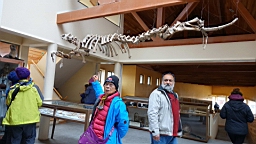 2019-03-01-0016.JPG