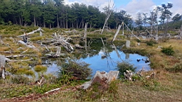 2019-03-06-0007.jpg