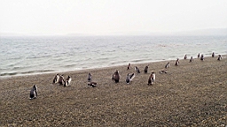 2019-03-07-0009.JPG