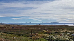 2019-03-09-0008.jpg