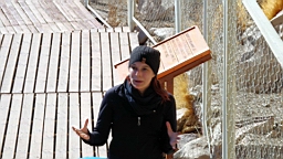 2019-03-15-0007.JPG
