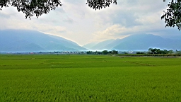 20160409_135740.jpg