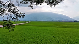 20160409_135743.jpg