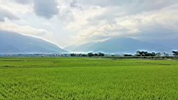 20160409_140021.jpg