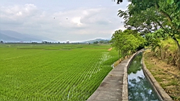 20160409_143319.jpg