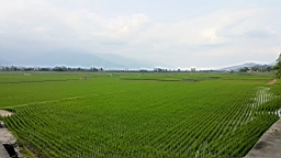 20160409_143322.jpg