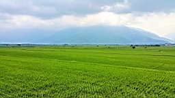 20160409_143337.jpg