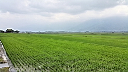 20160409_143340.jpg