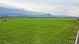 20160409_144449.jpg