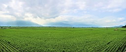 20160409_144800.jpg