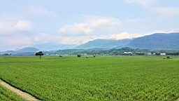 20160409_145617.jpg