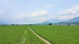 20160409_145621.jpg
