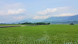 20160409_145921.jpg