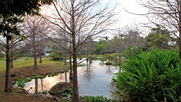 2016-04-10--02985.JPG